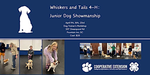 Immagine principale di Whiskers and Tails 4-H: Junior Dog Showmanship Classes 