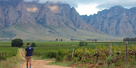 Imagen principal de Wine Class - South Africa