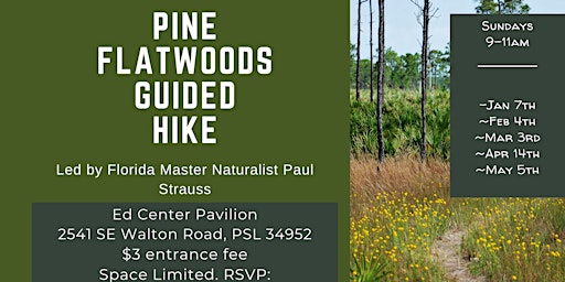 Imagen principal de Pine Flatwoods Hikes