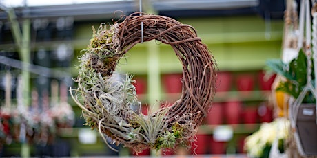 Primaire afbeelding van Make Your Own Air Plant Wreath - Frankfort, IL