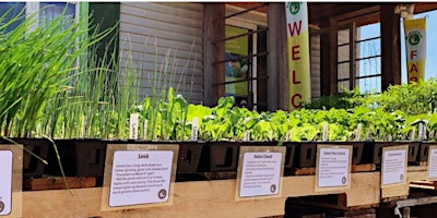 Imagem principal do evento Organic Plant Sale