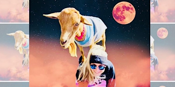 Solar Eclipse Goat Yoga Dallas!