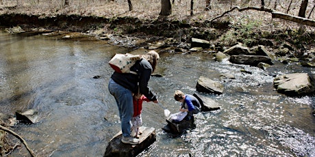 Image principale de Creek Week Field Day