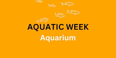 Hauptbild für Aquarium