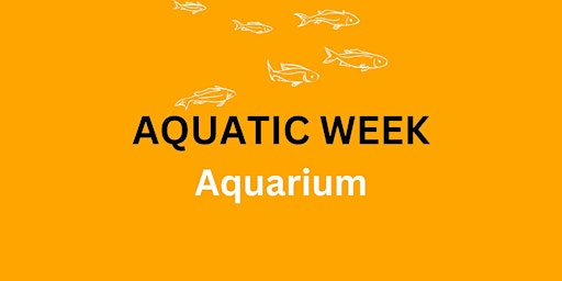 Aquarium primary image