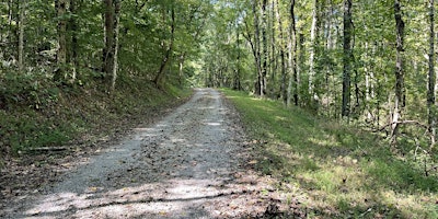 Image principale de Poplar Creek Trail Hike