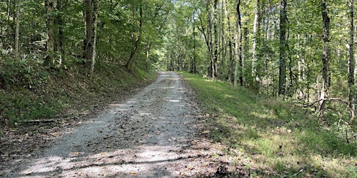 Immagine principale di Poplar Creek Trail Hike 