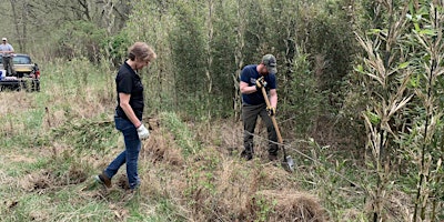 Planting Event for Native River Cane; Clinch River primary image