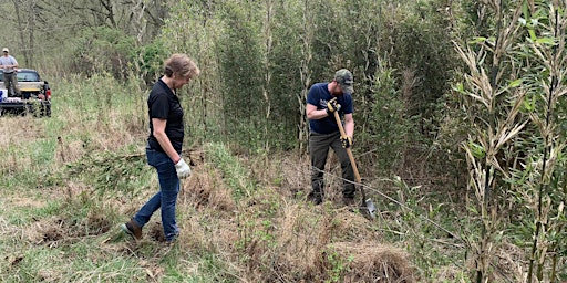 Hauptbild für Planting Event for Native River Cane; Clinch River