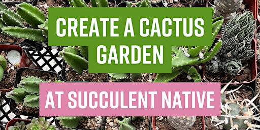 Imagem principal do evento Create a Cactus Garden