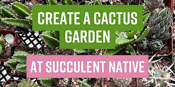 Create a Cactus Garden