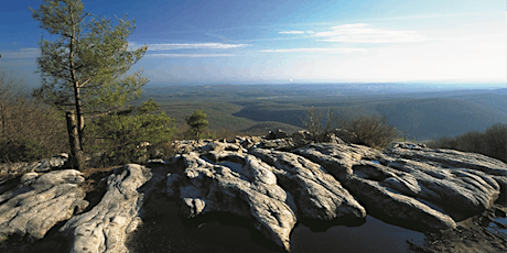 Black Mountain Hike