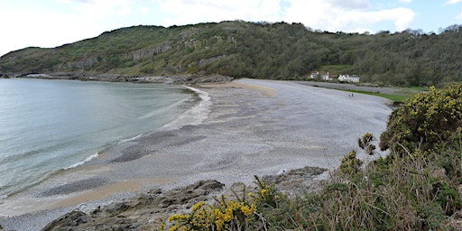 Imagen principal de Caswell to Pwll Du - Members Only