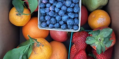 Neighborhood Wellness at The Hollywood Farmers' Market primary image