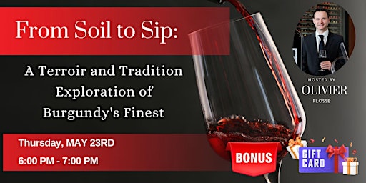 Imagem principal do evento From Soil to Sip: A Terroir and Tradition Exploration of Burgundy's Finest