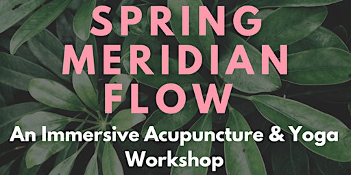 Spring Meridian Flow: An Immersive Yoga & Acupuncture Workshop primary image