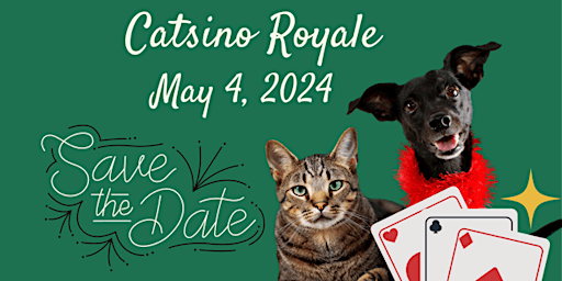 Catsino Royale  primärbild