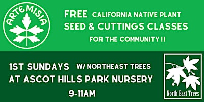 Ascot Hills Park 1st Sundays! Free Native Plant Seed & Propagation Classes primary image