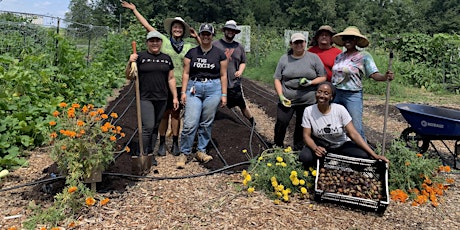 Volunteer Day with the Washington Youth Garden