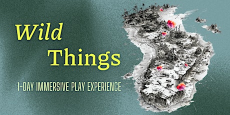 Wild Things — Immersive Play Experience