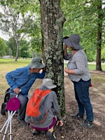 Primaire afbeelding van Slow guided Forest Therapy walk at Cotter Bend