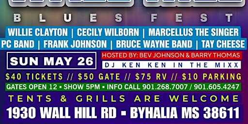 The 12th Annual Wall Hill Blues Fest primary image