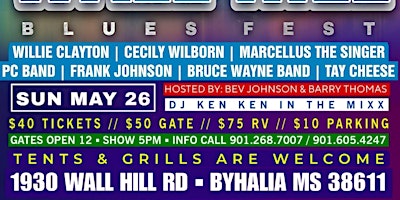 Imagen principal de The 12th Annual Wall Hill Blues Fest