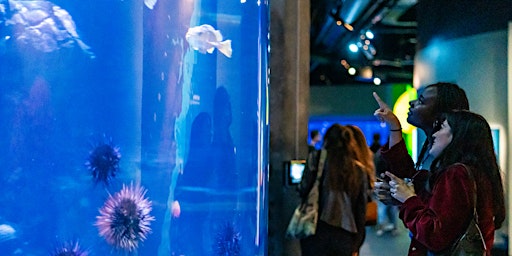 Imagen principal de California Academy of Science Nightlife.......