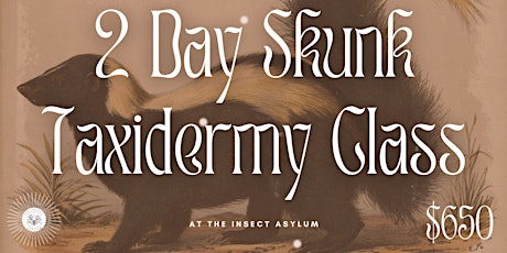 Two-Day Skunk Taxidermy Class