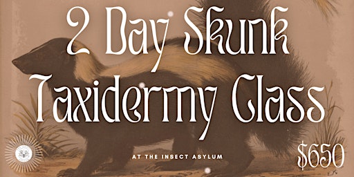 Two-Day Skunk Taxidermy Class primary image