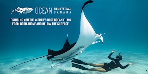 Imagem principal do evento Ocean Film Festival Canada World Tour 2024