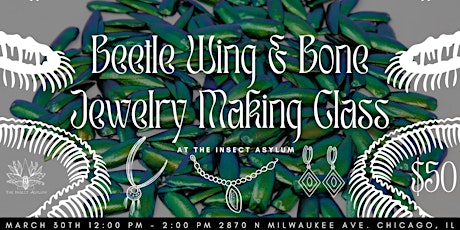 Jewel Beetle Wing & Snake Bone Jewelry Making Workshop