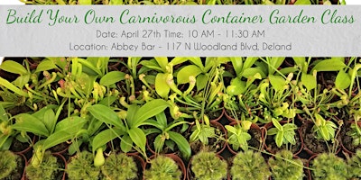 Image principale de Build Your Own Carnivorous Container Garden Class