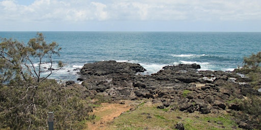 Rockpool Ramble – Barolin Point Reserve Coral Cove primary image