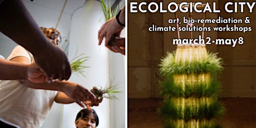 Image principale de ECOLOGICAL CITY - Art & Climate Solutions Workshops (COSTUME & BIO ARTS)