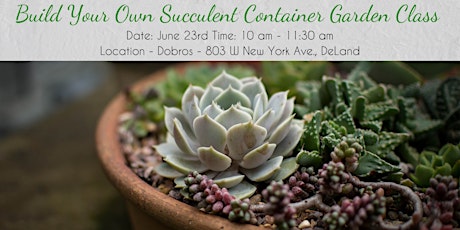 Build Your Succulent Container Garden Class