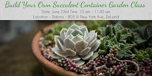 Imagem principal do evento Build Your Succulent Container Garden Class