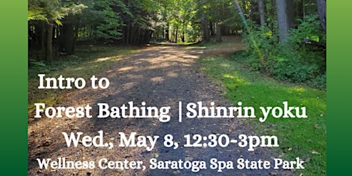 Imagem principal do evento Intro to Forest Bathing /Shinrin yoku