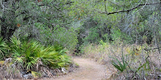 Hauptbild für San-Cap Audubon/SCCF Bird Walk