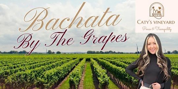 "Bachata by the grapes" Lodi ca.