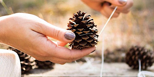 Imagem principal de Holiday Decorations from Natural Materials