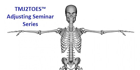 TMJ 2 Toes - Module 2 - Spinal  Adjusting Seminar - Toronto, ON