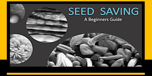 Primaire afbeelding van Seed Saving - A Beginners Guide