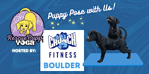 Imagem principal do evento Rescue Puppy Yoga - Crunch Fitness Boulder