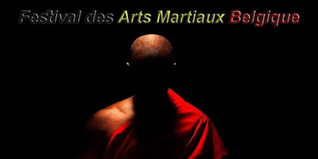Primaire afbeelding van FESTIVAL DES ARTS MARTIAUX MONS ARENA 2019