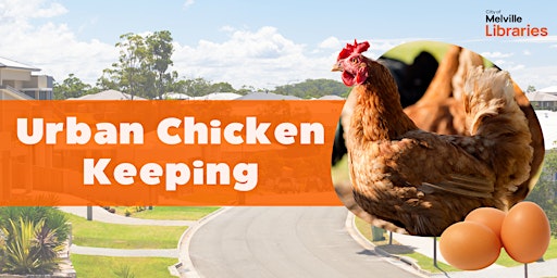 Imagem principal do evento Urban Chicken Keeping