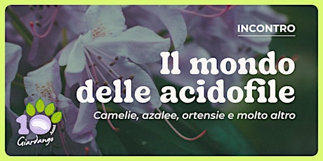 Il mondo delle acidofile: azalee, ortensie e molto altro - Incontro