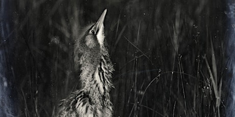 Lady of the Reeds - The life of bird photographer Emma Turner (HKC).