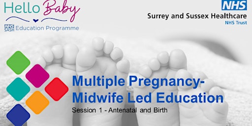 Primaire afbeelding van Multiple Pregnancy- Midwife Led Education. Session 1 Antenatal and Birth