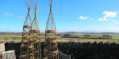 Immagine principale di Willow Woven Plant Supports 